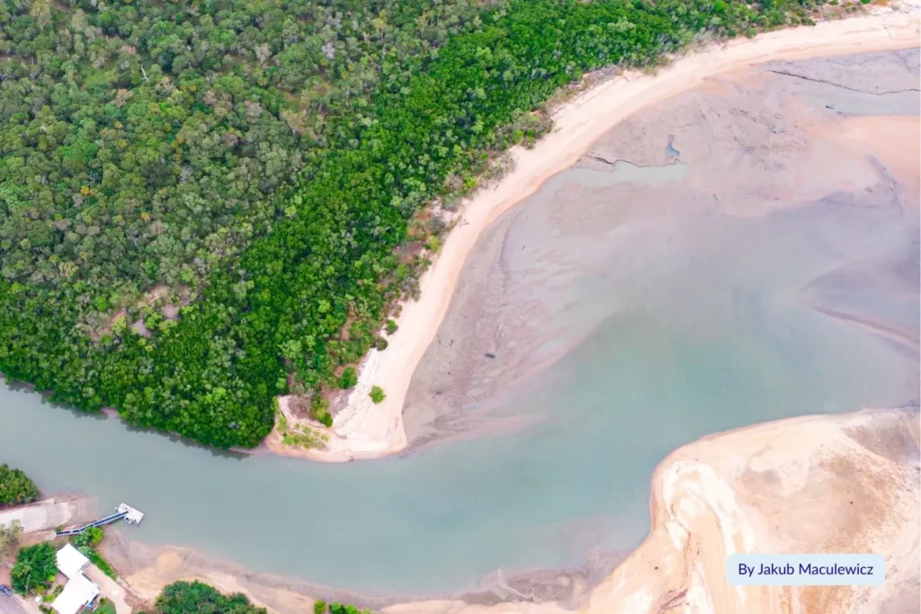 Aerial view of lush green mangroves and tidal creek flowing into Balgal Beach on Queensland’s northern coast.