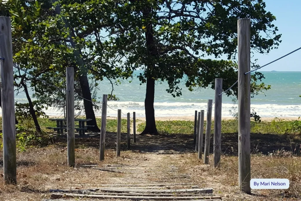 Wooden path leading through coastal trees to the sandy shore at Balgal Beach, north of Townsville, Queensland.