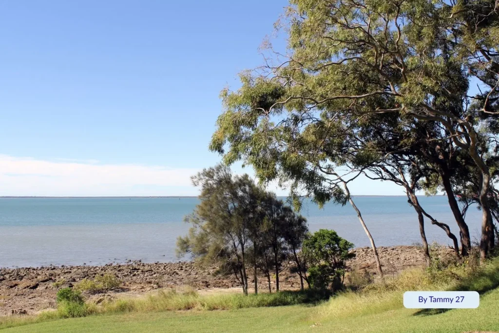 Shaded grassy foreshore with trees overlooking the calm blue waters and rocky shoreline of Barney Point Beach, Gladstone, Queensland.
