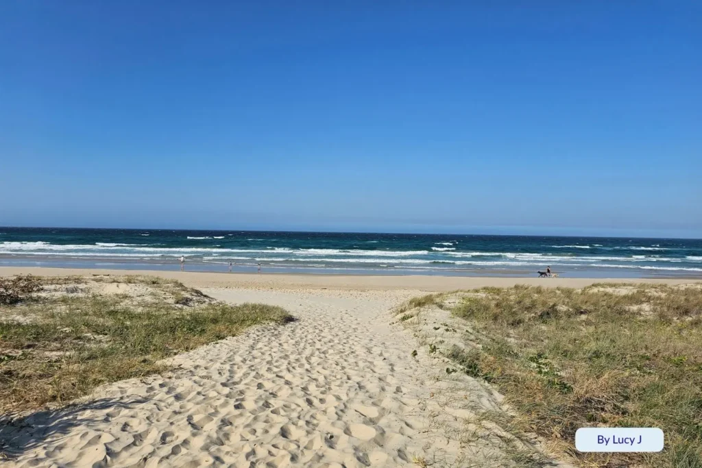 Sandy trail through grassy dunes leading to the shoreline at Bilinga Beach, Gold Coast, with calm waves and a wide open beachscape.
