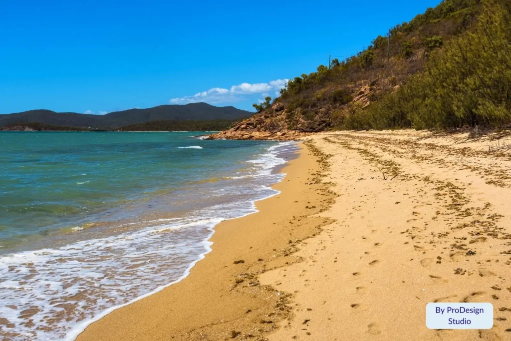 Golden sand and gentle waves along the peaceful shoreline at Cannonvale Beach surrounded by coastal bushland, Whitsundays, Queensland, Australia.