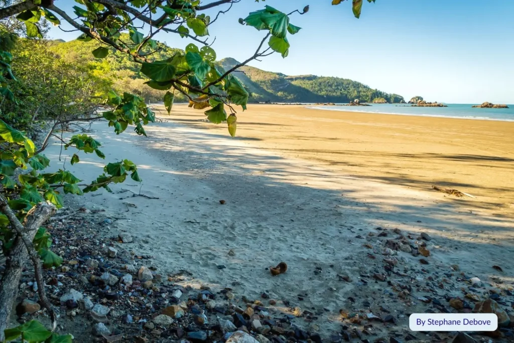 Scenic view through green foliage to Cape Hillsborough Beach, Queensland, with calm blue water and sandy shoreline at low tide.