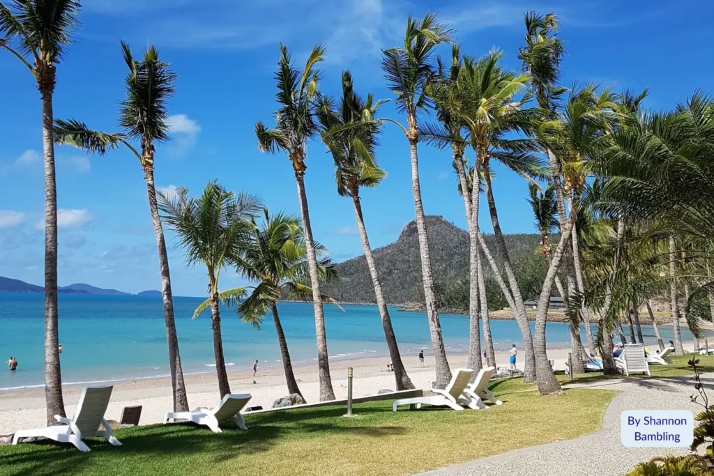 Palm trees and sun loungers overlooking turquoise water at Catseye Beach resort area on Hamilton Island, Queensland, Australia.