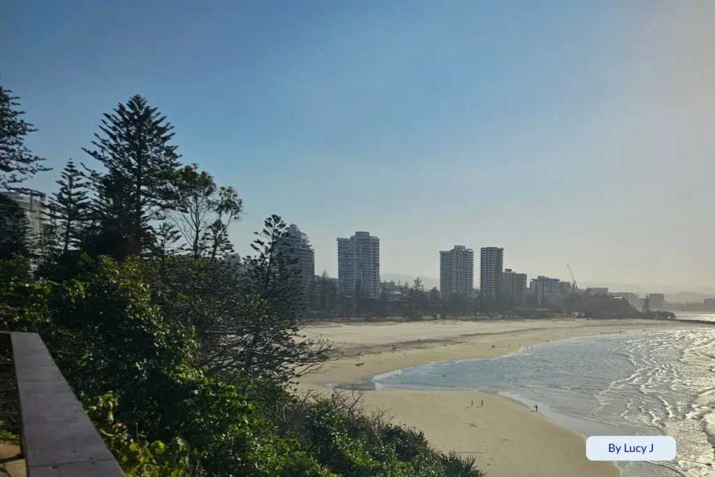 Elevated view overlooking Coolangatta Beach with pine trees and ocean mist framing the Gold Coast skyline along the sandy stretch.