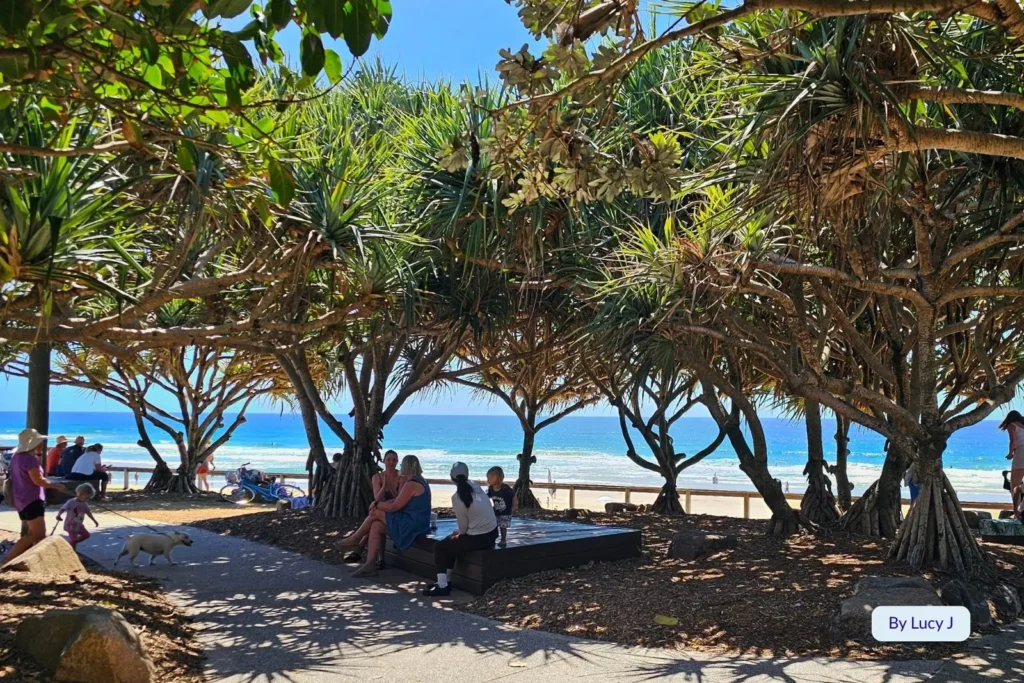 People relaxing beneath pandanus trees overlooking Coolum Beach, Sunshine Coast, Queensland, with ocean views, walking paths, and picnic seating in the shade.