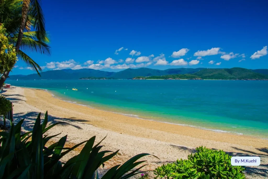 Tropical beach with golden sand, palm trees, and turquoise ocean on Daydream Island, Great Barrier Reef, Queensland, Australia.