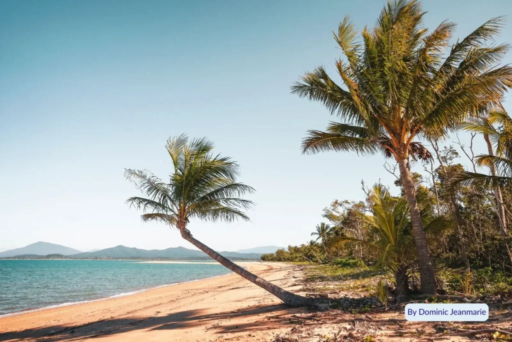 Golden sand and leaning palm trees on the tranquil tropical shores of Dunk Island, Cassowary Coast, Queensland, Australia