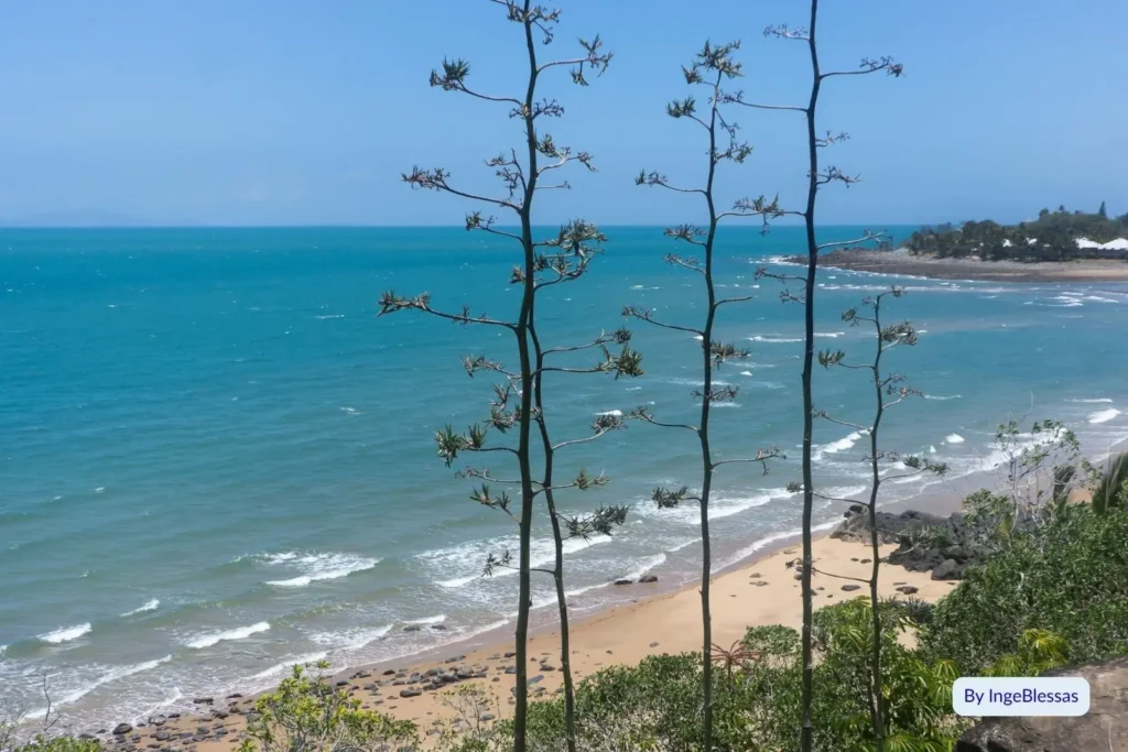 Scenic view of Eimeo Beach, Queensland, framed by coastal vegetation and overlooking turquoise waters and the sandy foreshore.