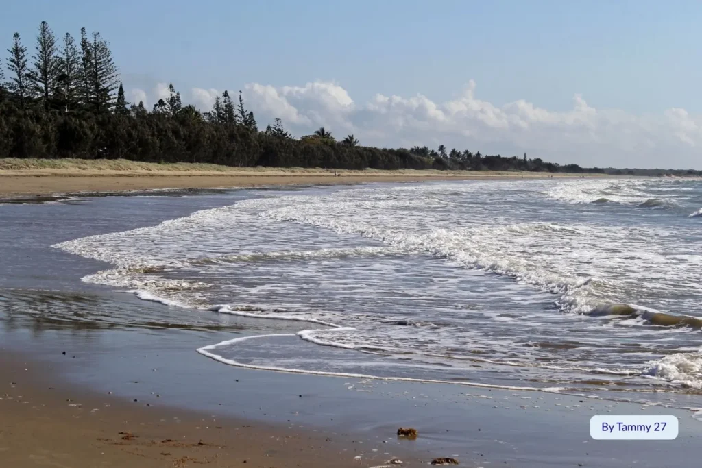Foamy waves rolling onto the wide sandy shore at Farnborough Beach near Yeppoon, Queensland, backed by coastal pine trees under a blue sky