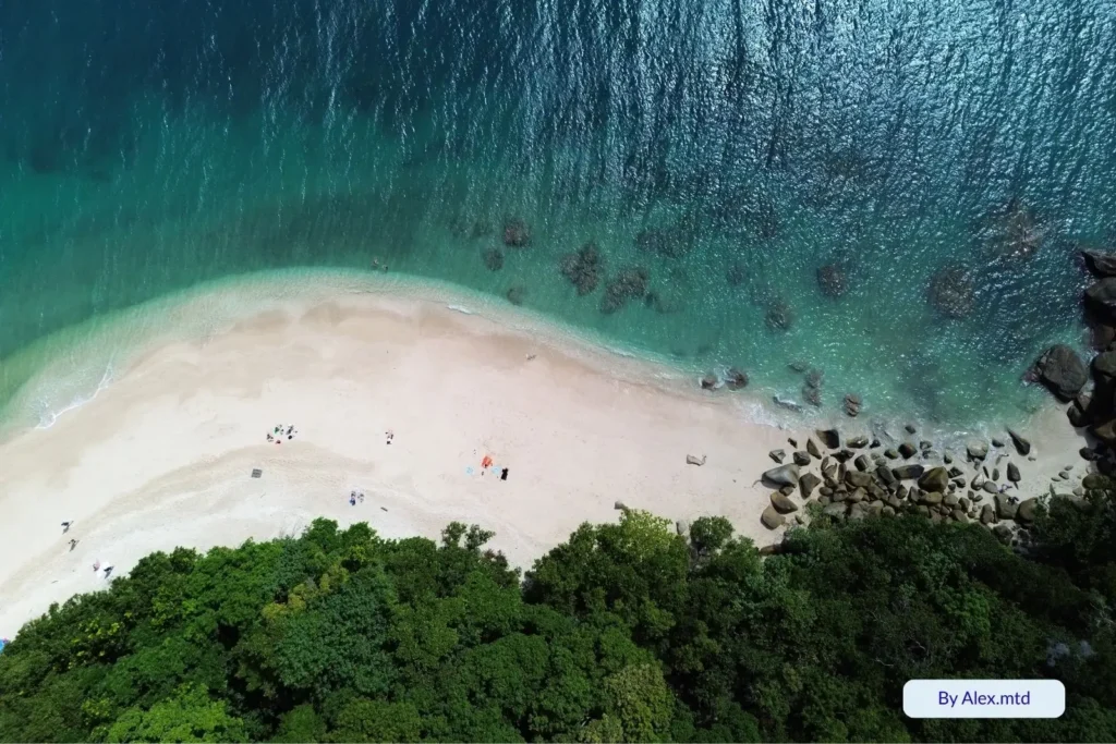 Aerial view of Fitzroy Island’s coral beach and turquoise lagoon with visitors swimming near the reef edge, Cairns Region, Queensland, Australia