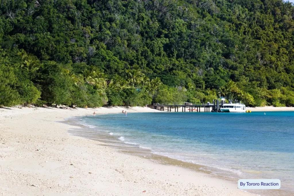 Tropical coral beach on Fitzroy Island with emerald rainforest and clear calm waters, Great Barrier Reef, Queensland, Australia