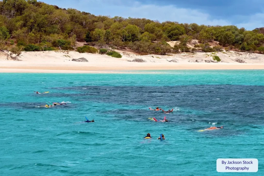 Group of snorkellers exploring coral reefs in crystal-clear turquoise water off Great Keppel Island, Queensland.