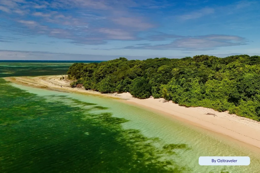Aerial view of Green Island showing rainforest interior and bright turquoise reef lagoon, Great Barrier Reef, Queensland, Australia