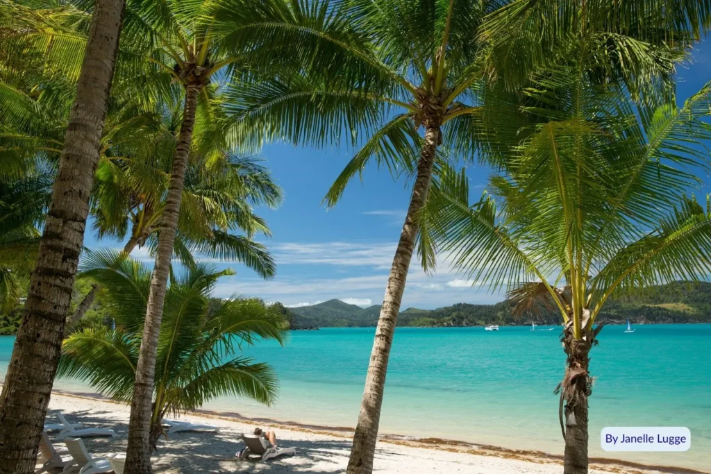 Palm trees and white sandy shoreline overlooking turquoise water at Catseye Beach, Hamilton Island, Whitsundays, Queensland.