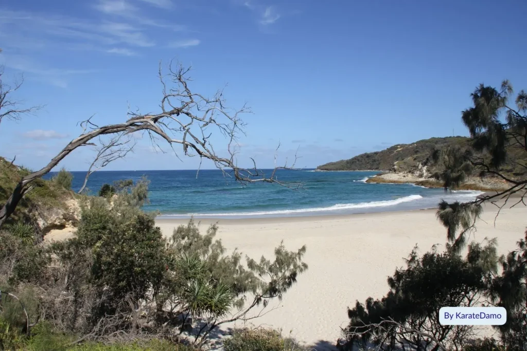 Honeymoon Bay Moreton Island with clear turquoise waves curling into a sheltered sandy cove framed by rocky headlands and native coastal trees under a bright blue sky.
