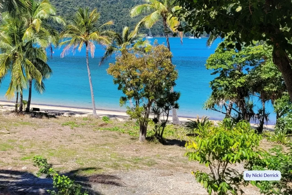 Palm trees and tropical vegetation overlooking a pristine beach and crystal-clear blue water on Hook Island, Whitsundays, Queensland, Australia.