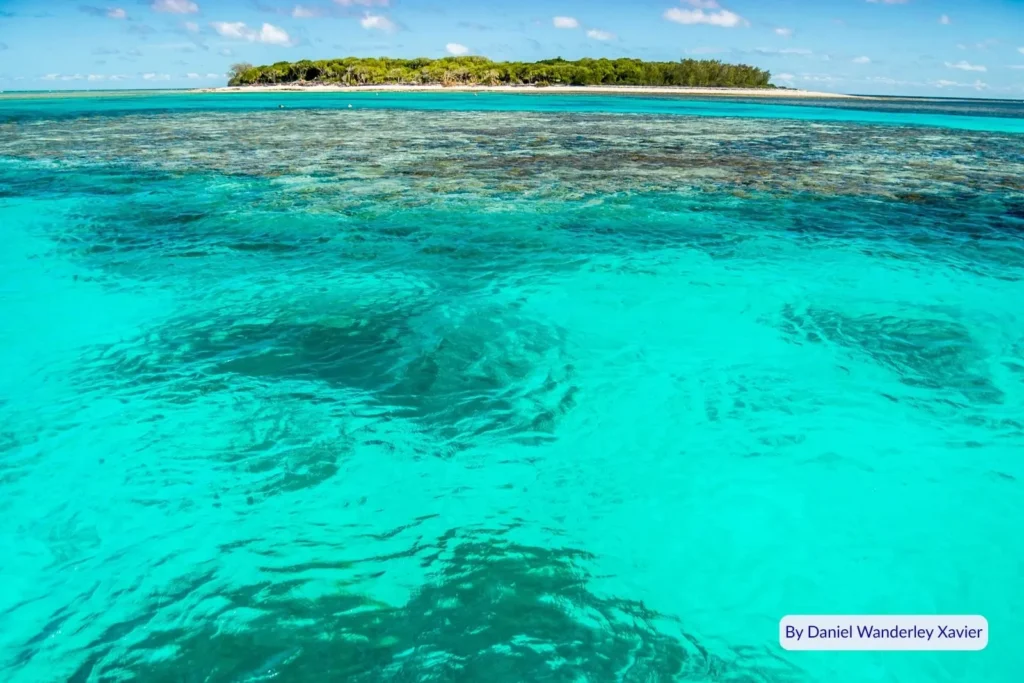 Aerial view of Lady Musgrave Island surrounded by turquoise reef lagoon and coral formations, Great Barrier Reef, Queensland.
