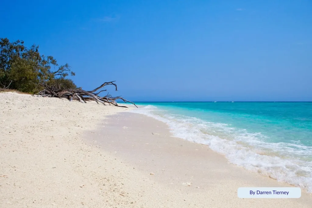 Tropical shoreline of Lady Musgrave Island, Queensland, with soft white sand, clear turquoise water, and lush coastal vegetation