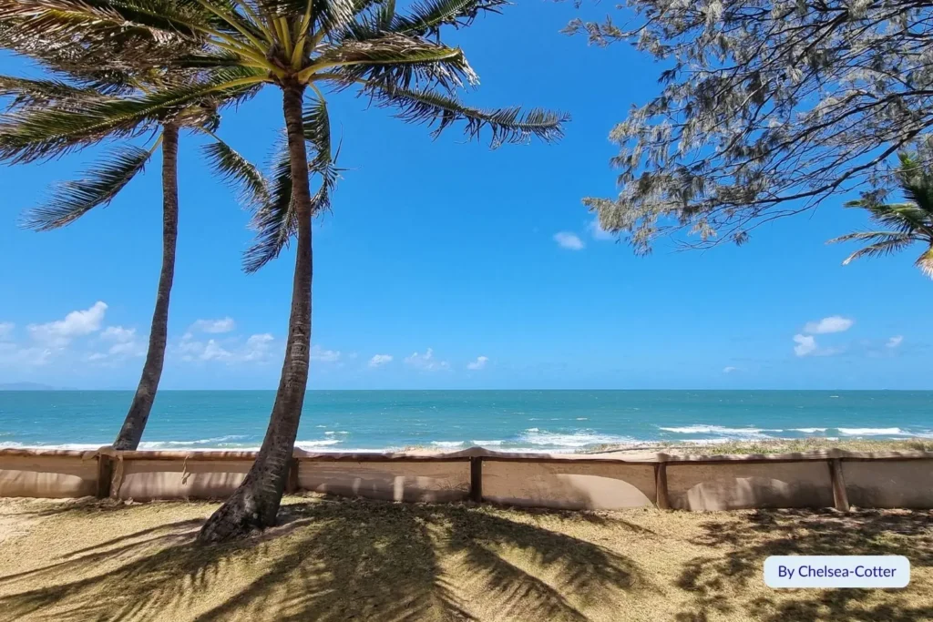 Palm trees swaying along the Lamberts Beach foreshore in Mackay, Queensland, overlooking calm blue ocean waves on a sunny tropical day.
