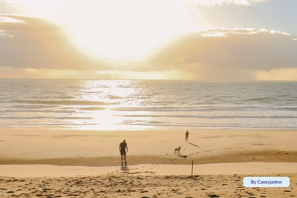 Golden sunrise at Lamberts Beach in Mackay, Queensland, with locals walking dogs along the soft sand as sunlight reflects on the ocean