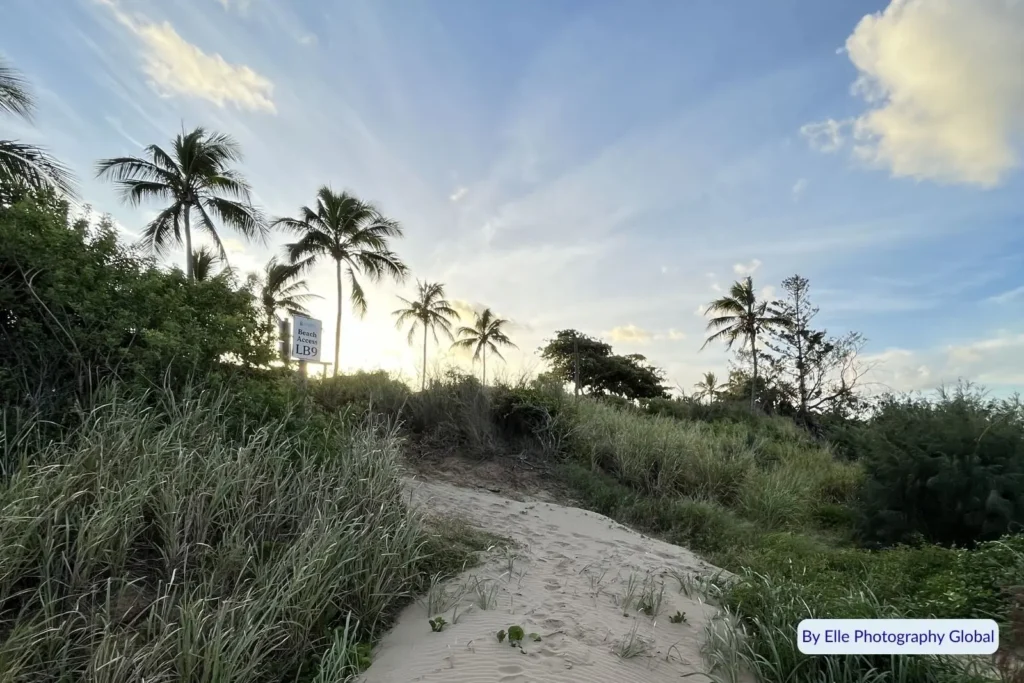 Walking track through coastal dunes and palm trees leading to Lammermoor Beach near Yeppoon, Queensland, under a soft morning sky