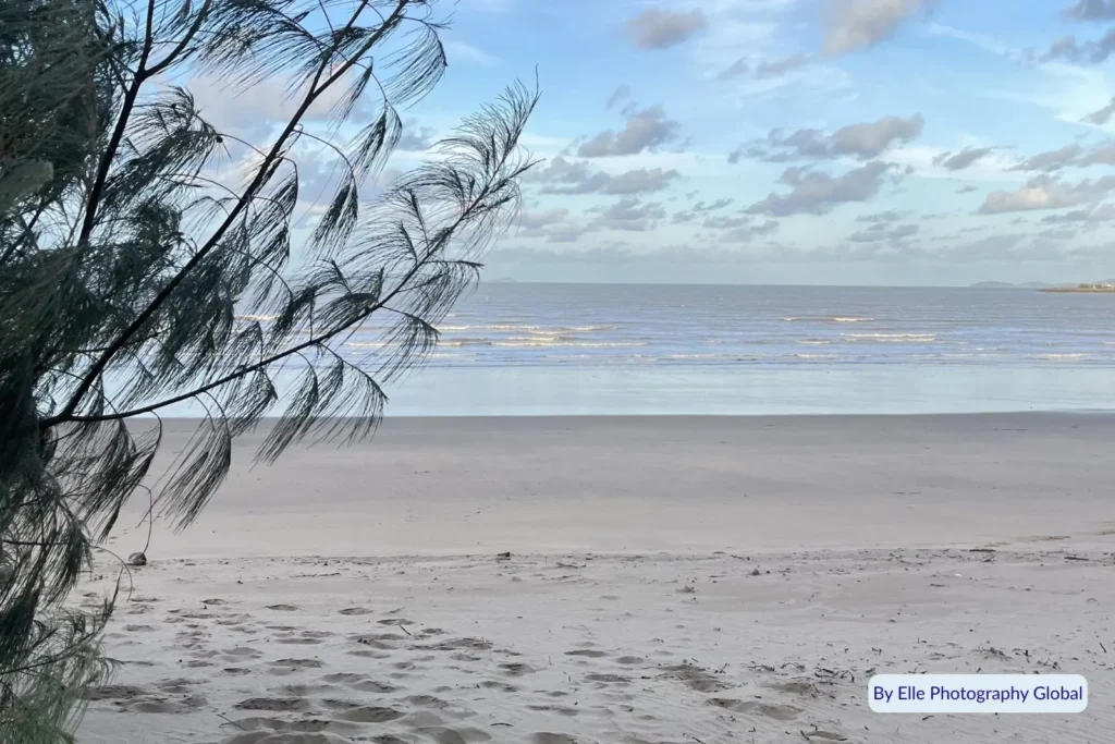 Peaceful low-tide scene at Lammermoor Beach, Yeppoon, Queensland, with casuarina branches framing the quiet shoreline and calm blue sea.