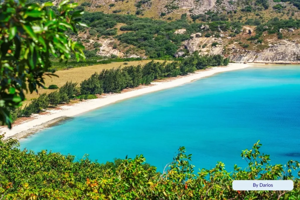 Scenic view of the lagoon and white sandy beach at Lizard Island, Queensland, framed by tropical vegetation and rocky headlands.