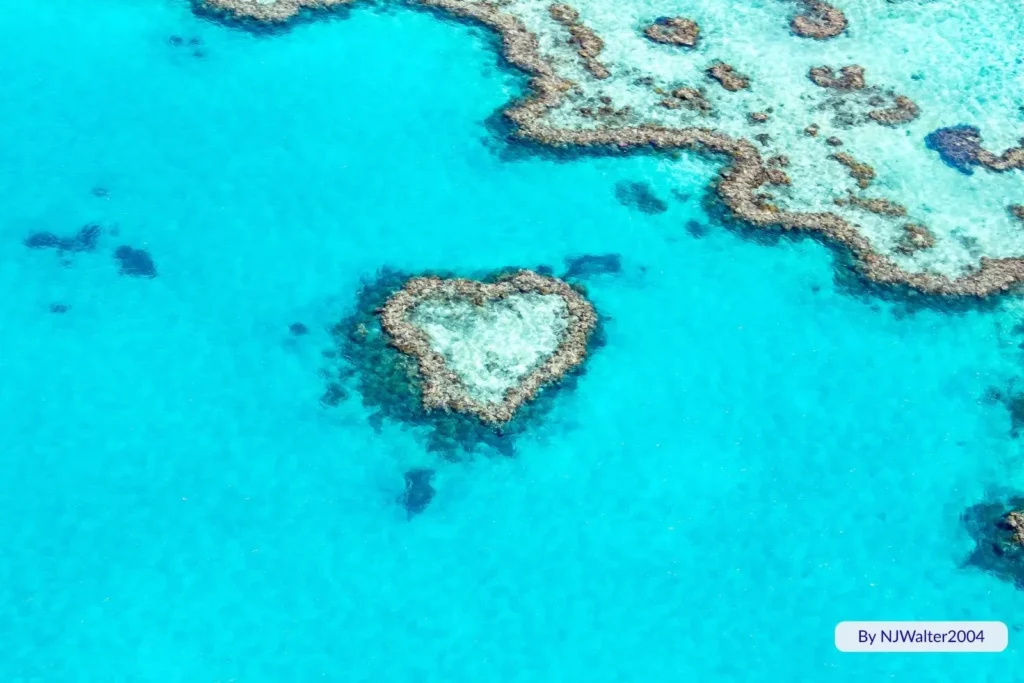 Aerial view of Heart Island, also known as Heart Reef, in the Whitsundays, Queensland — a natural heart-shaped coral formation surrounded by turquoise waters of the Great Barrier Reef.
