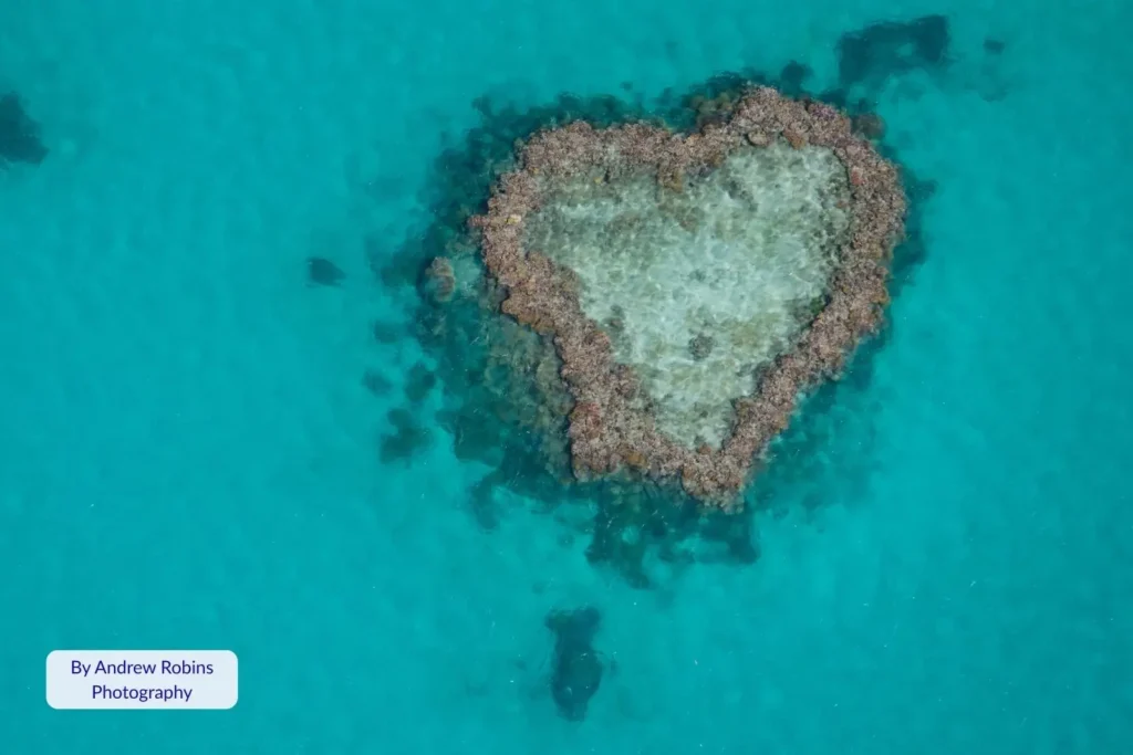 Aerial photo of Heart Reef in the Great Barrier Reef, Whitsundays, Queensland — the famous heart-shaped coral formation surrounded by turquoise water.