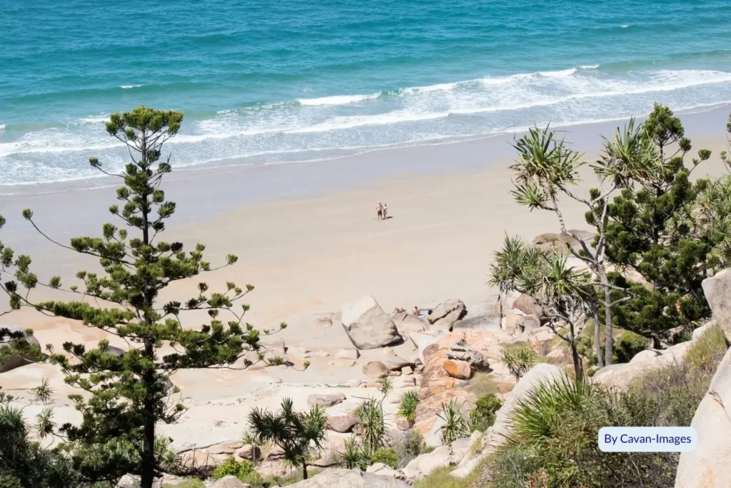 Scenic view of secluded sandy cove and gentle ocean waves framed by native pine trees and boulders on Magnetic Island, Queensland.