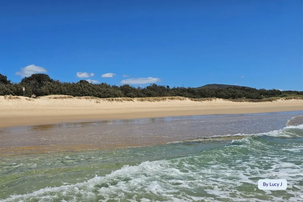 Shallow tidal pool meeting the surf at Marcoola Beach, Sunshine Coast, Queensland, surrounded by golden dunes and coastal vegetation.