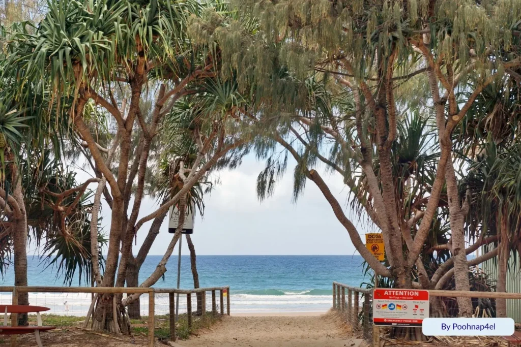 Pathway through pandanus trees leading to the golden sands and blue surf of Mermaid Beach, Gold Coast, Queensland, with beach access signage visible.