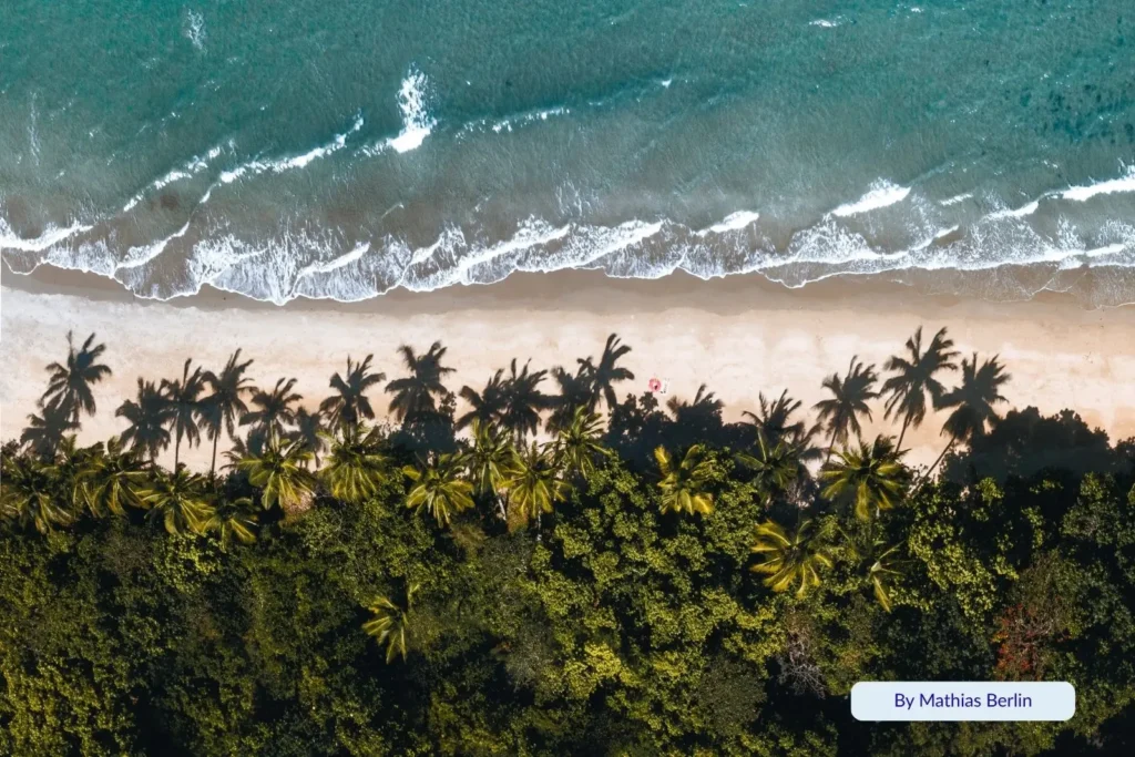 Aerial view of tropical palm tree forest meeting the sandy coastline of Mission Beach, Cassowary Coast, Queensland, Australia