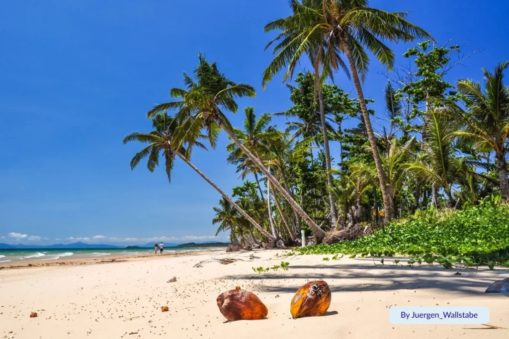 Coconut palms leaning over golden sand and turquoise waters at Mission Beach, Cassowary Coast, Queensland, Australia