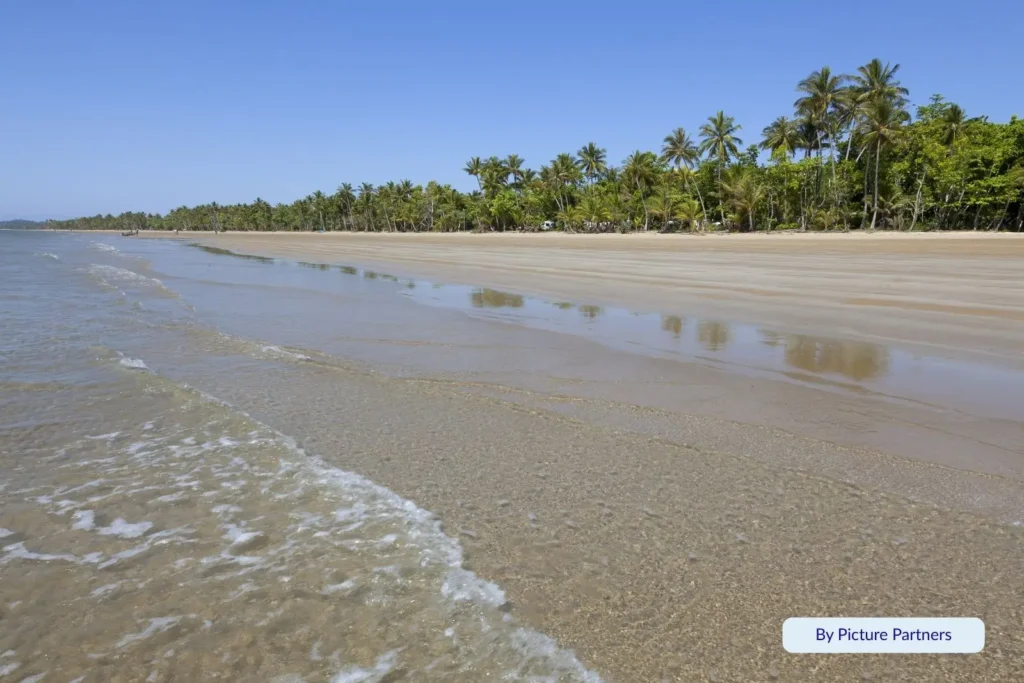 Wide sandy shoreline and calm blue water at Mission Beach with palm trees lining the coast, Cassowary Coast, Queensland, Australia