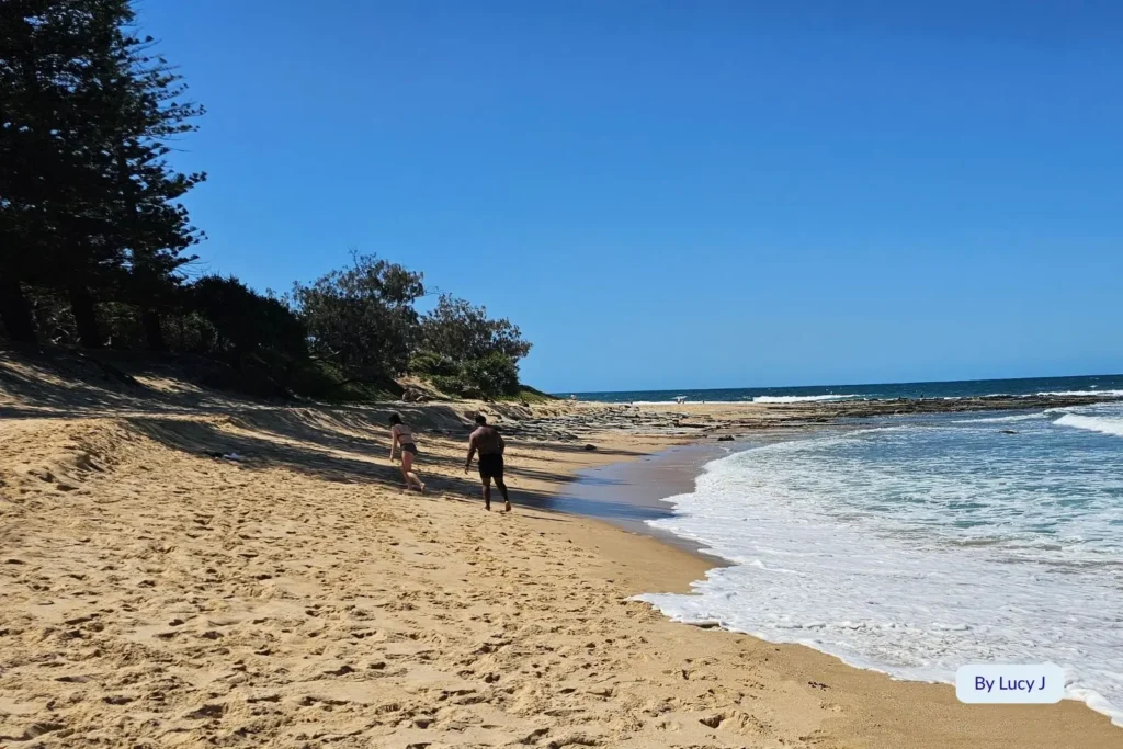 Waves rolling onto the sandy edge of Moffat Beach, Sunshine Coast, Queensland, framed by pandanus trees and rocky headlands.