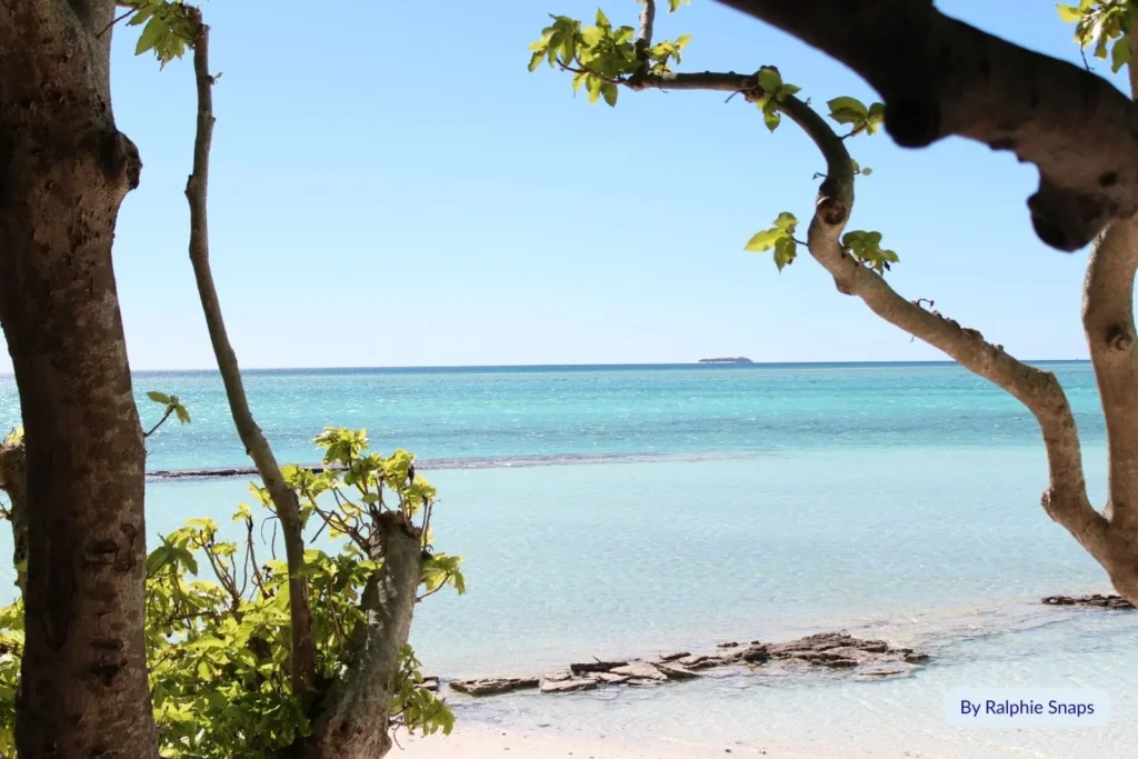 Crystal-clear turquoise water and white sandy shore framed by coastal trees on Northwest Island, Great Barrier Reef, Queensland, with a distant coral cay on the horizon