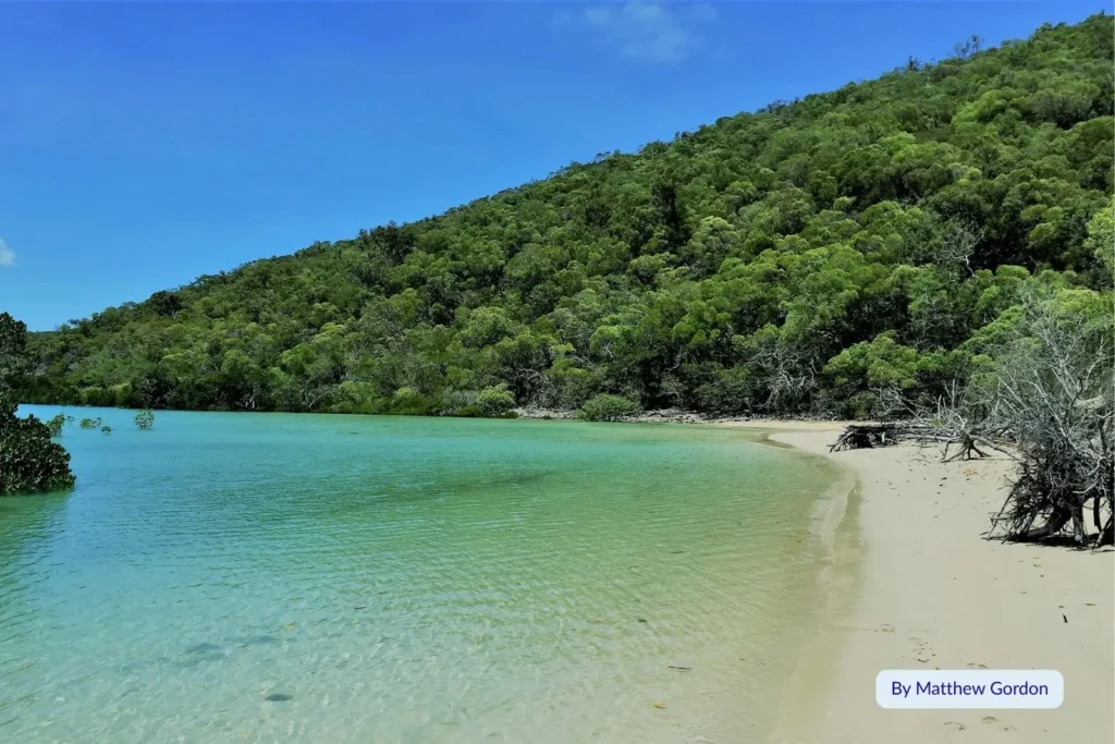 Shallow turquoise lagoon and rainforest shoreline on Orpheus Island, a tropical paradise in North Queensland.