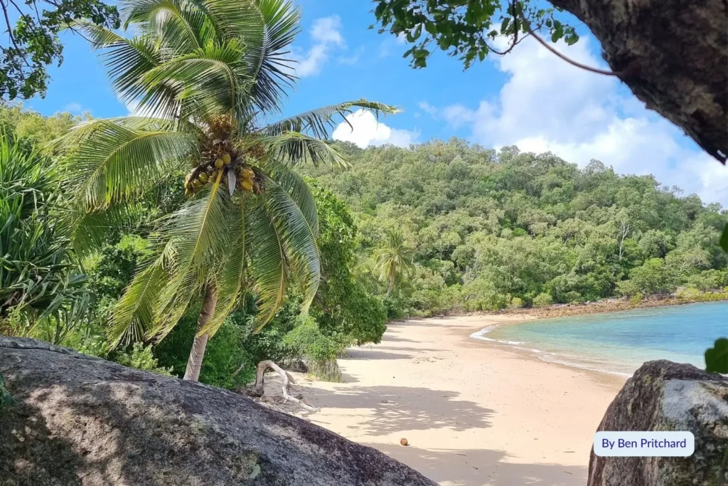 Tropical palm-fringed beach with golden sand and turquoise water on Orpheus Island, Great Barrier Reef, Queensland, Australia.