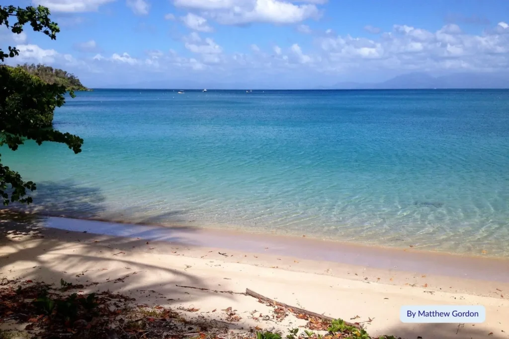 Calm turquoise water and golden sandy beach framed by tropical vegetation on Orpheus Island, Great Barrier Reef, Queensland.