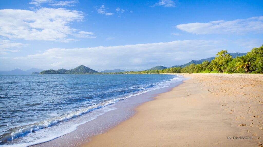 “Golden sand and calm tropical waters at Palm Cove, Cairns, Queensland, with lush green headlands and clear blue skies in the distance.”