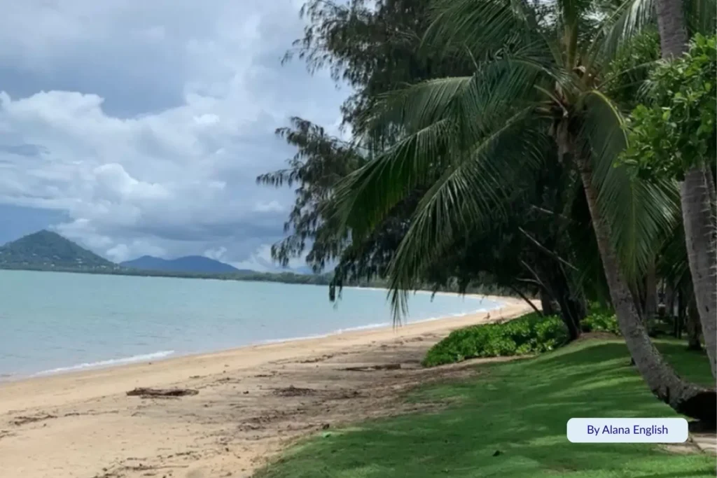 Palm trees and green lawns lining the sandy shore at Palm Cove, Cairns, Queensland, with views of the Coral Sea and nearby mountains under cloudy skies