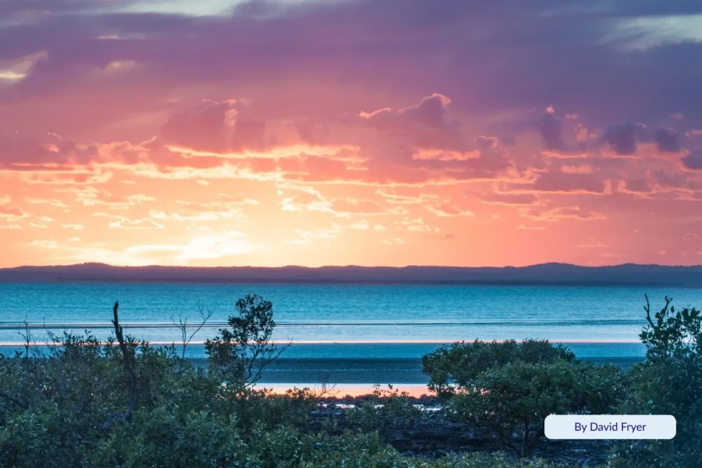 Vibrant sunset over calm blue waters at Pialba Beach, Hervey Bay, with mangroves in the foreground and golden reflections across the horizon