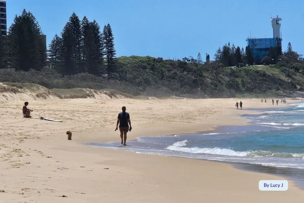Walker and dog along Point Cartwright Beach, Sunshine Coast, Queensland, with lighthouse and pine trees visible on the headland in the distance.