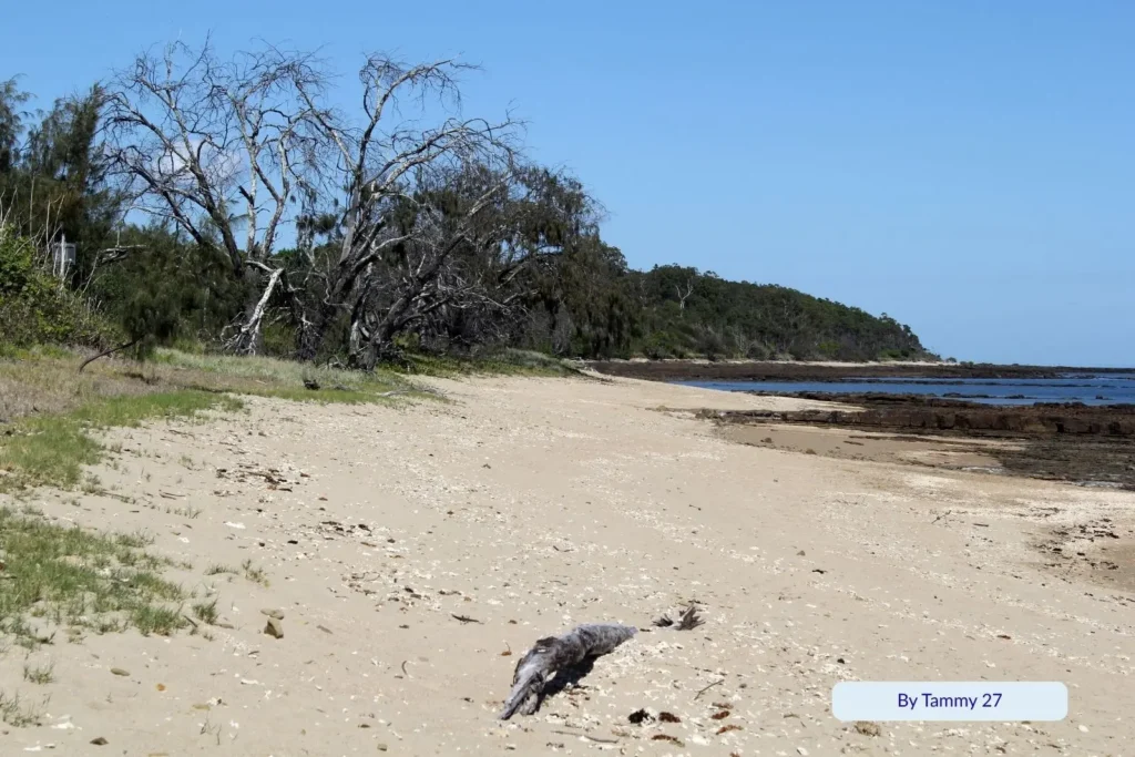 Golden sunset over Point Vernon and the Great Sandy Strait, with coastal homes and rocky foreshore glowing in evening light, Hervey Bay Queensland.