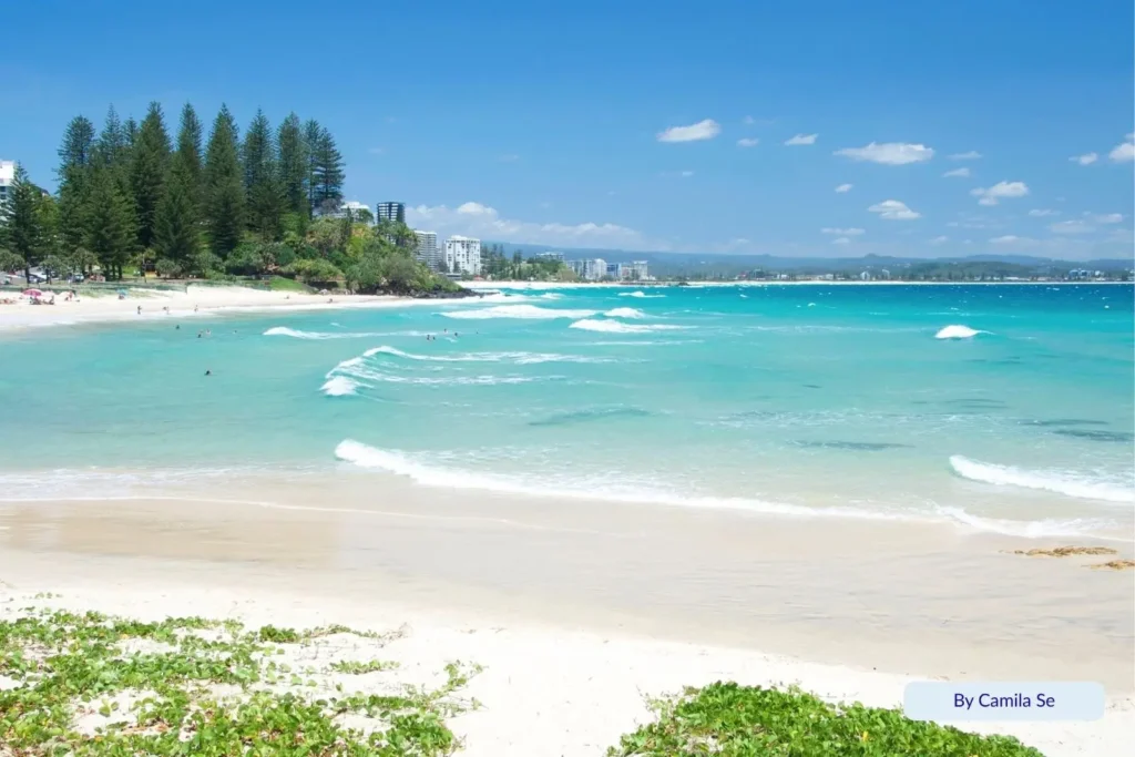 Crystal-clear turquoise waves and soft white sand at Rainbow Bay, Gold Coast, Queensland, framed by pine trees and blue summer skies.