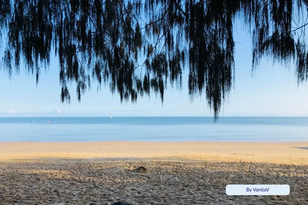 Shady Casuarina trees framing Shelley Beach, Torquay, Hervey Bay, Queensland, with tranquil blue water and golden sand on a peaceful morning.