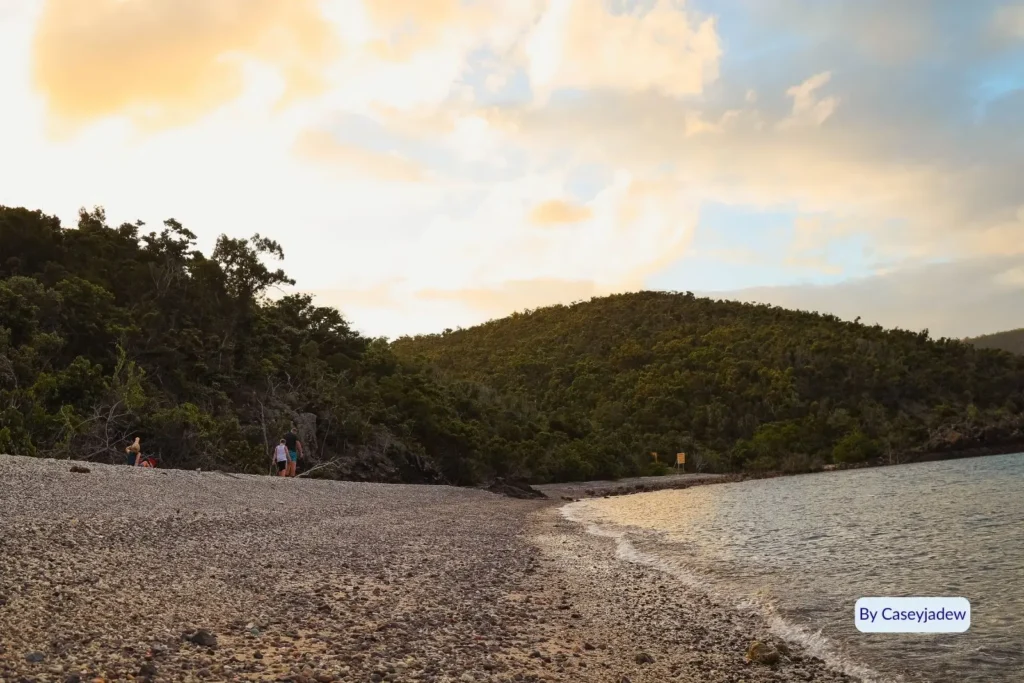 Pebbly shoreline at sunset in Shute Harbour with visitors walking along the beach and rainforest-covered hills in the background, Whitsundays, Queensland.