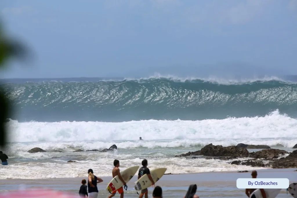 Group of surfers waiting to paddle out as large waves roll in at Snapper Rocks, a world-renowned surf break on the Gold Coast, Queensland.