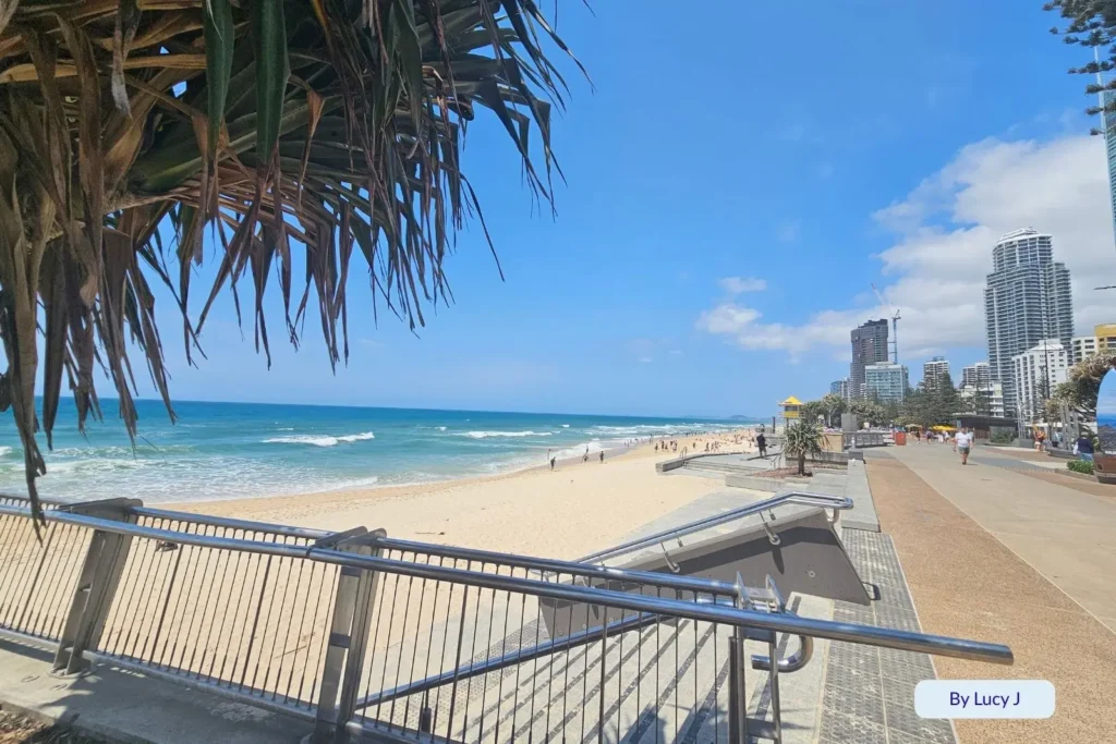 View from the Esplanade overlooking Surfers Paradise Beach with pandanus trees, golden sand, and the ocean stretching north, Gold Coast, Queensland